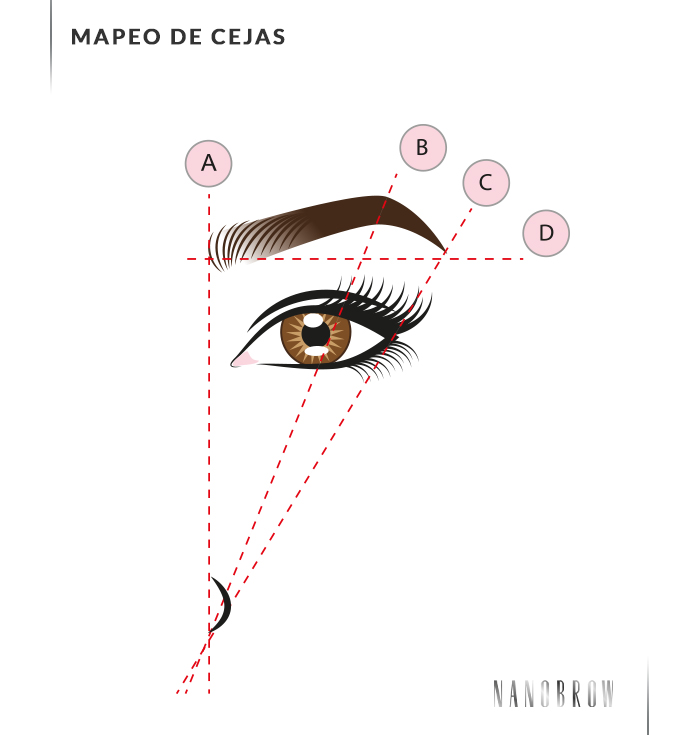 cejas perfectamente definidas