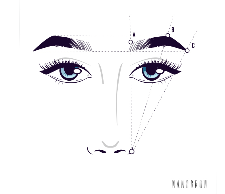   donde deben empezar las cejas